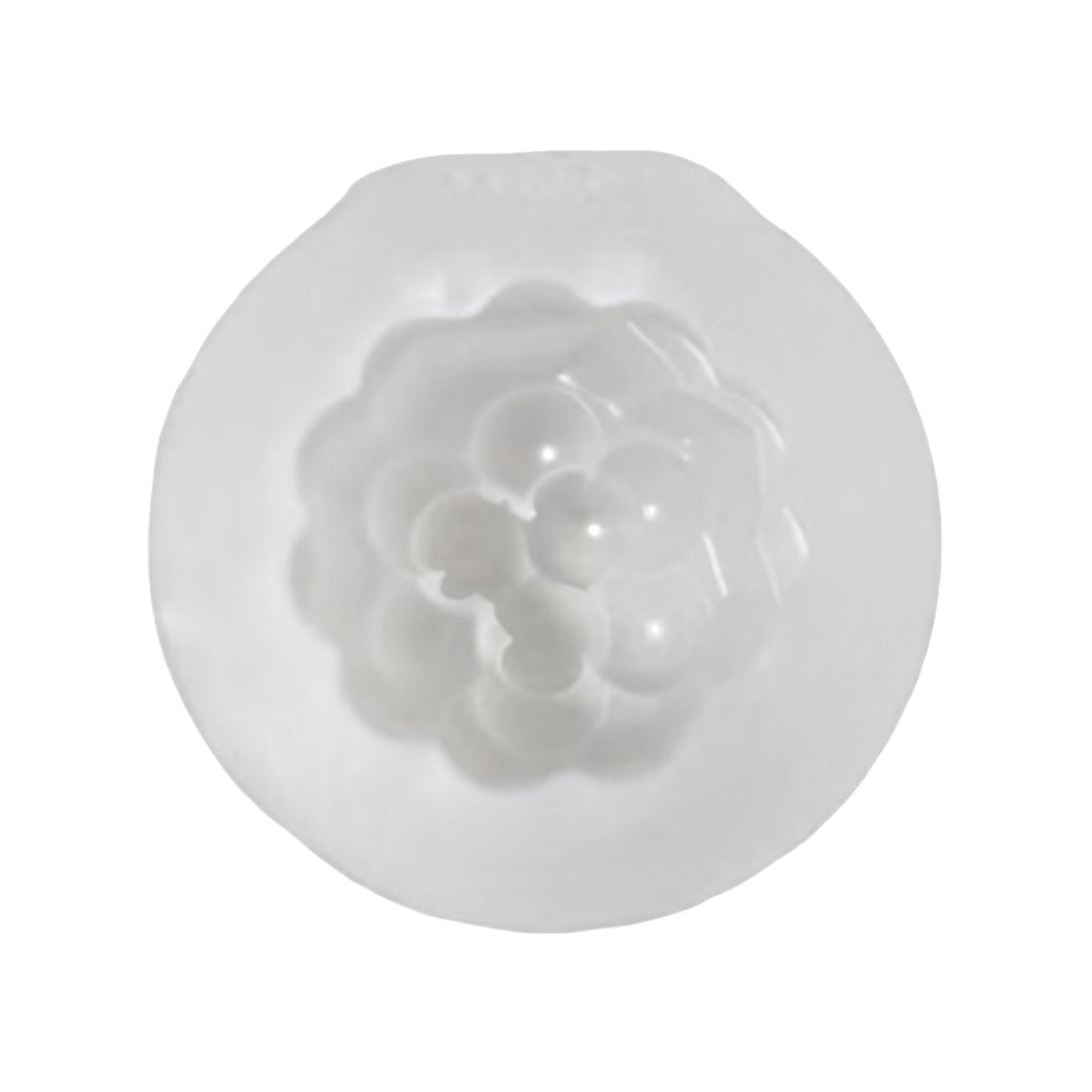 JC Grapes Mold Silicone Squishy Mold