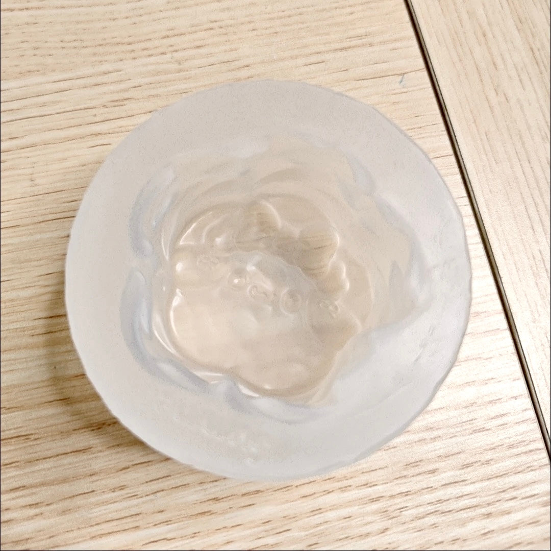 Cinnamon Cookie Silicone Molds