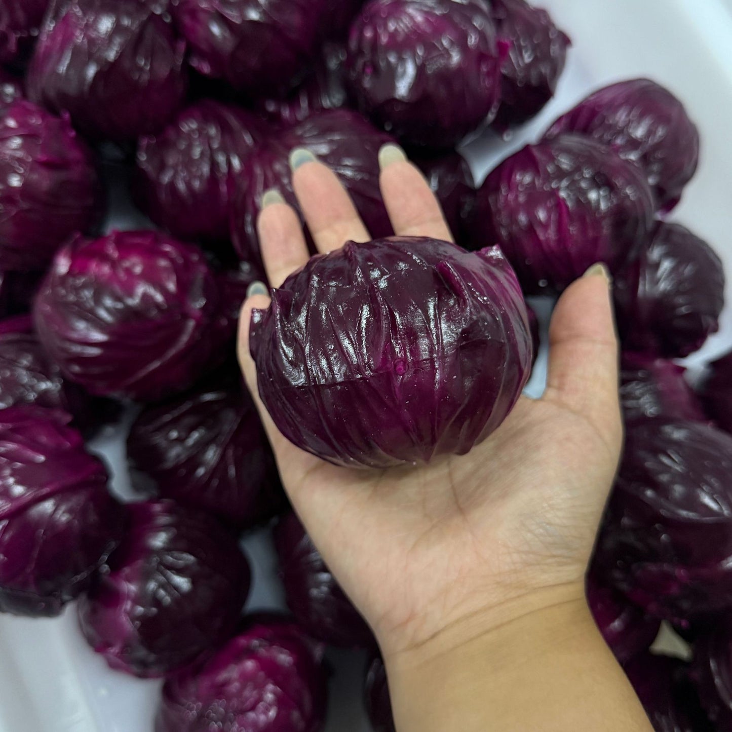 Purple Cabbage Blacks Stress Ball Squishy Stress Relief Decompression Toy
