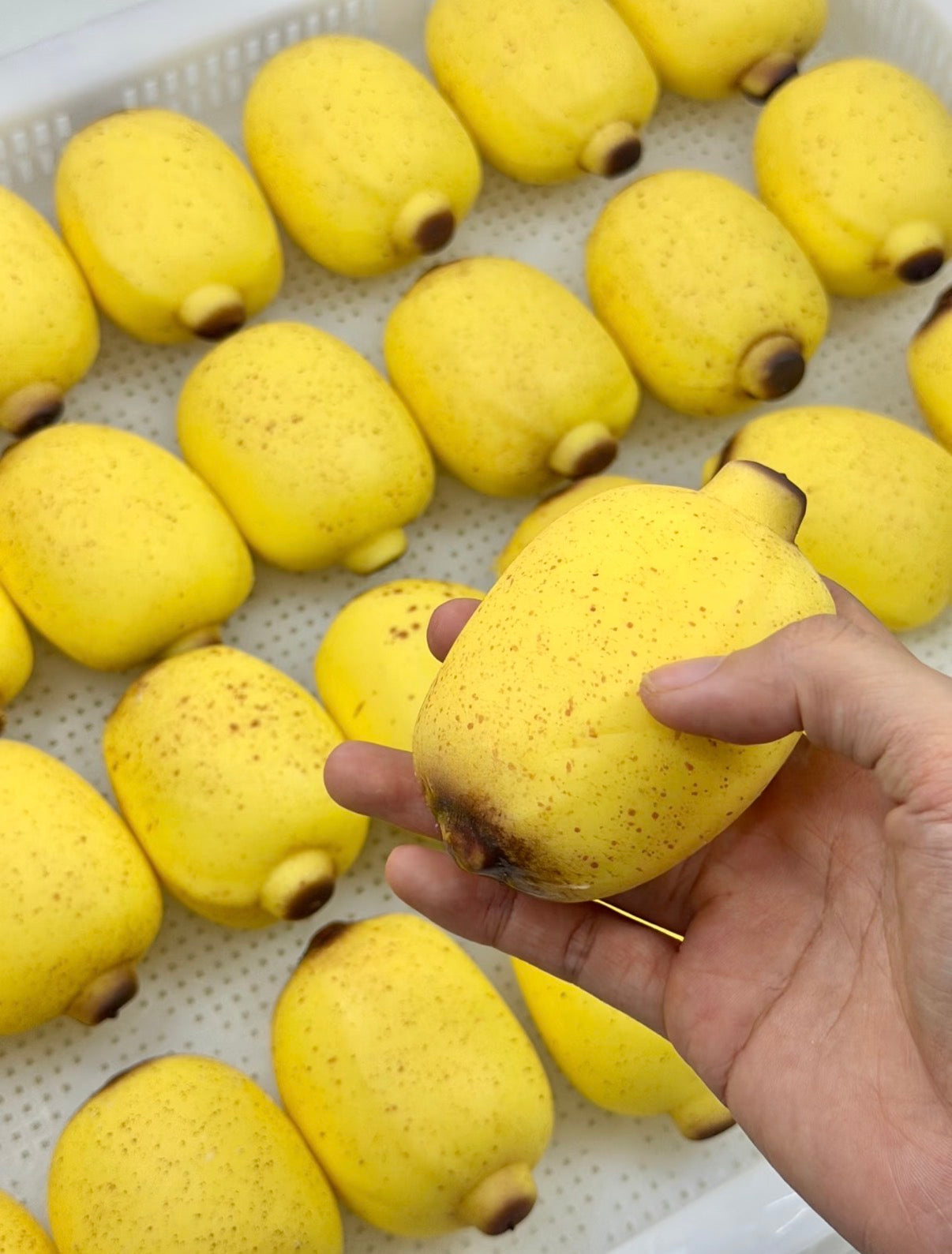 Apple Banan Stress Ball Squishy Fidget Toy