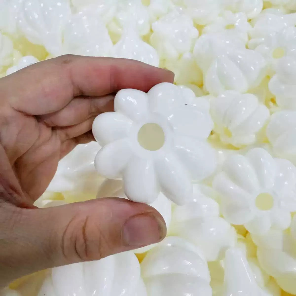 Garlic Bulb Stress Ball Skin