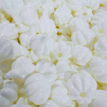 Garlic Bulb Stress Ball Skin
