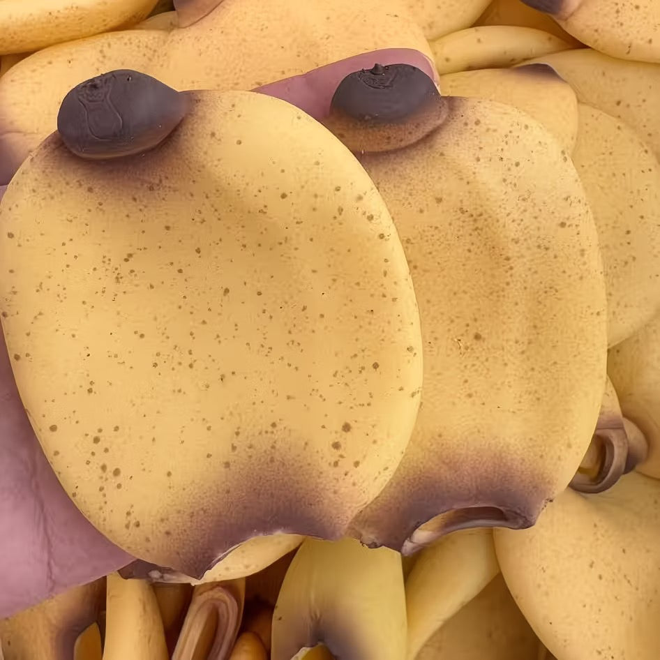 Banana Stress Ball Skin