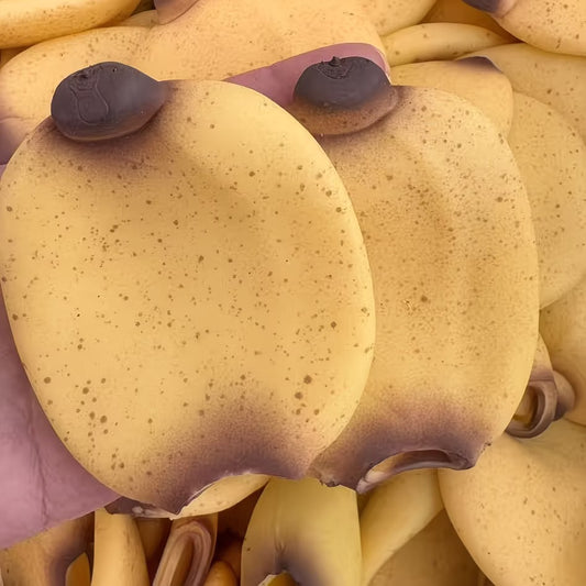 Banana Stress Ball Skin